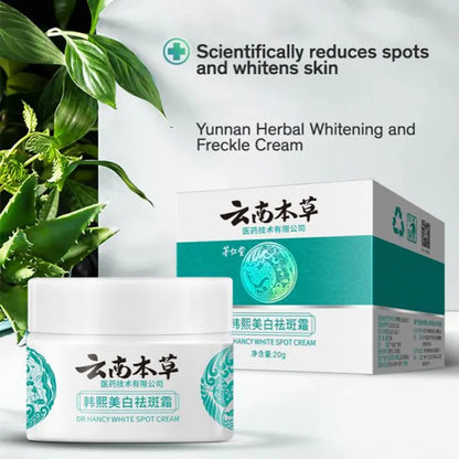 Japanese Melasma Cream Hot Sale Dr. Hancy White Spot Cream moisturizing facial whitening cream